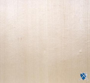 Érable quarter cut verni