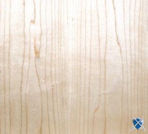 Érable rouge vernis