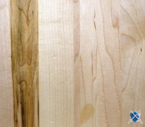 Érable à peindre vernis