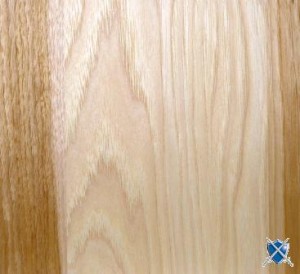 Hickory Blanc vernis