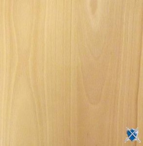 Hêtre européen verni-1